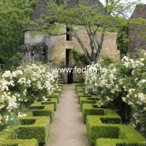 Exterior House Luxury Villa Luxury  House House Front Design Home Front Design-1079