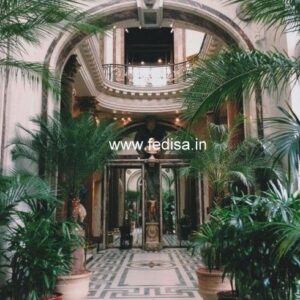 Exterior House Luxury Villa Luxury  House House Front Design Home Front Design-2800