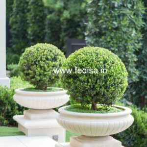 Exterior House Luxury Villa Luxury  House House Front Design Home Front Design-5027