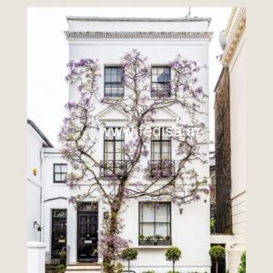 Exterior House Luxury Villa Luxury  House House Front Design Home Front Design-5415