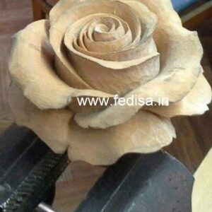 Exterior House Luxury Villa Luxury  House House Front Design Home Front Design-8023