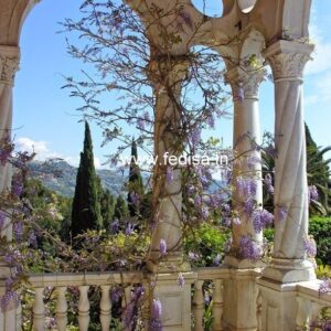 Exterior House Luxury Villa Luxury  House House Front Design Home Front Design-8239