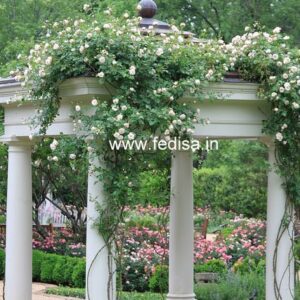 Exterior House Luxury Villa Luxury  House House Front Design Home Front Design-8455