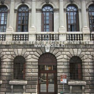 Exterior House Luxury Villa Luxury  House House Front Design Home Front Design-9019