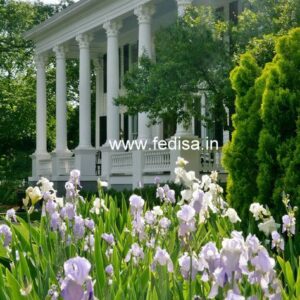 Exterior House Luxury Villa Luxury  House House Front Design Home Front Design-9537