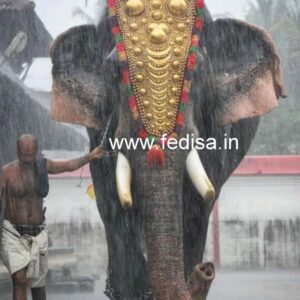 Exterior House Luxury Villa Luxury  House House Front Design Home Front Design-9778